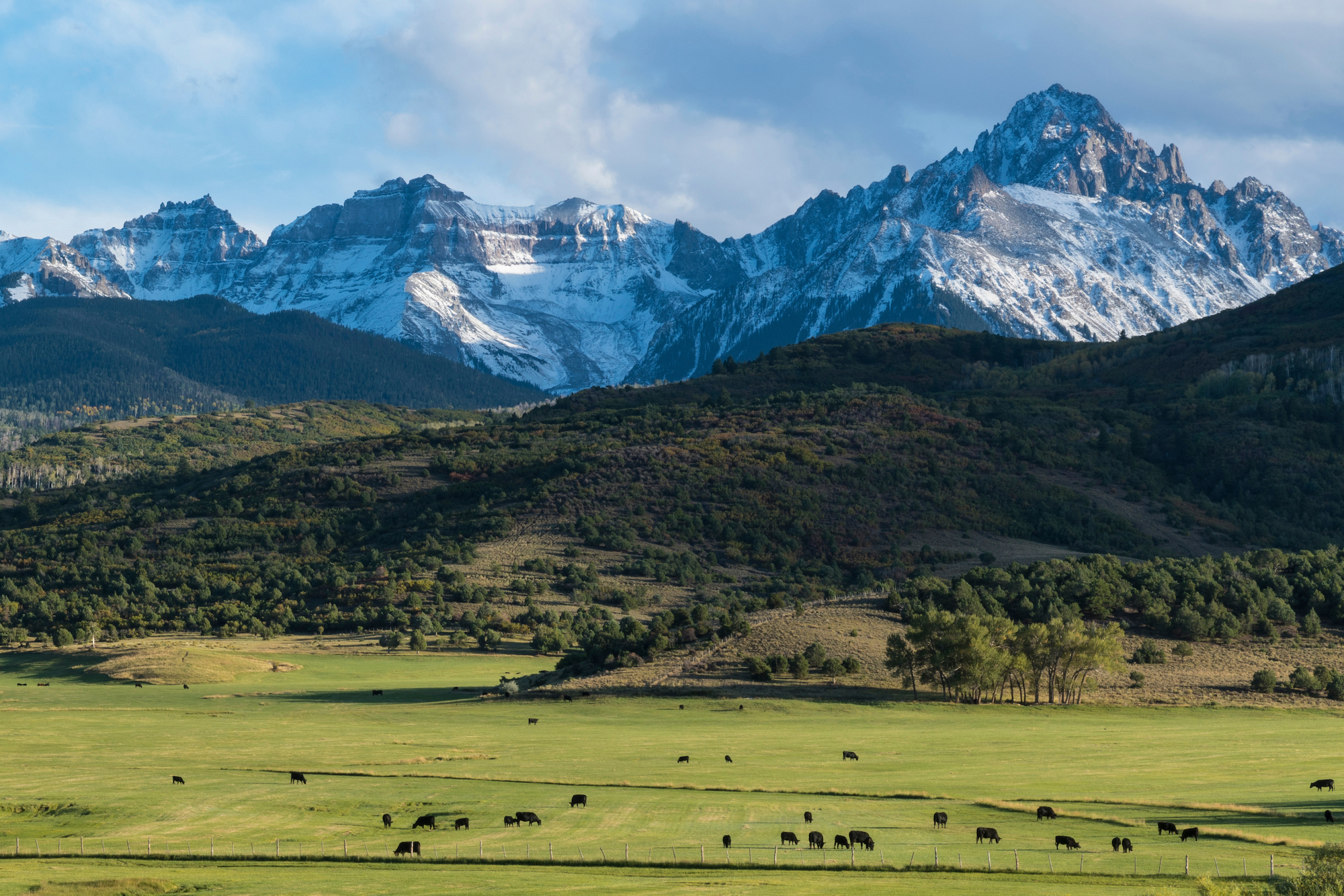 Promoting Biodiversity on Ranches: The Critical Role of Ranchers in Preserving Ecosystems